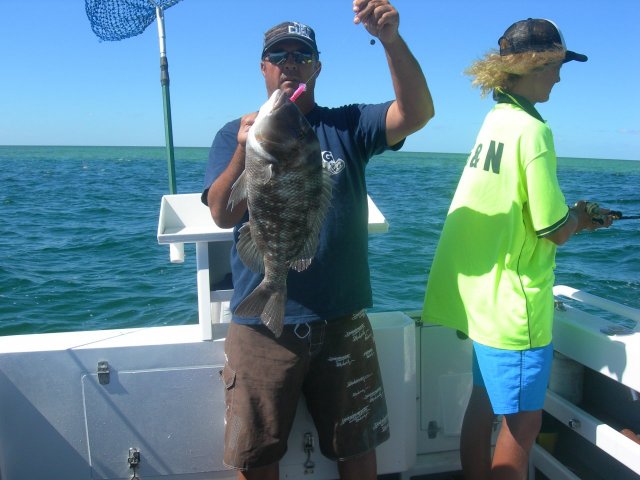 black snapper